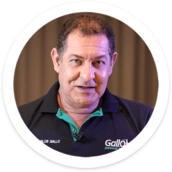 Prof. Gallo